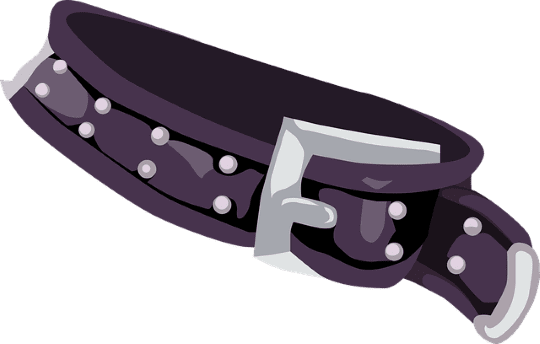 belt