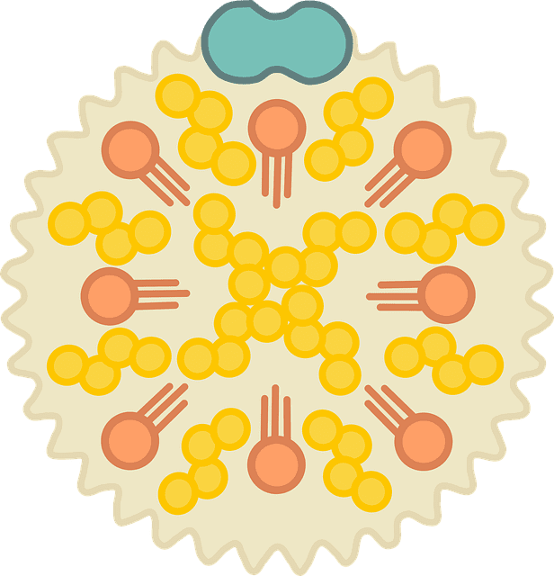 cholesterol