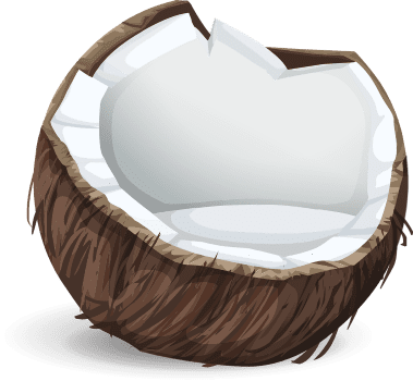 coconut