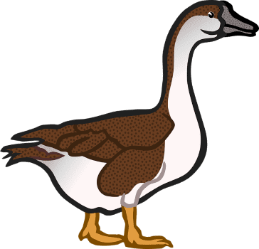 goose