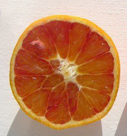 grapefruit