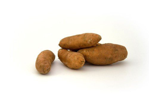 sweet-potato