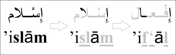 word-pattern-root-slm-1