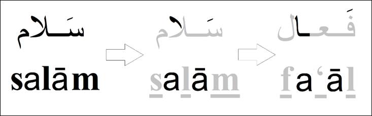 word-pattern-root-slm-2