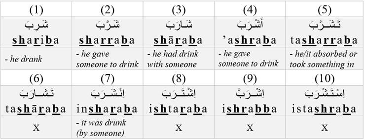 Verb patterns derived from the triliteral root ش - ر - ب (sh - r - b)