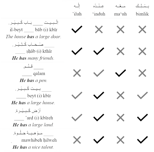 possession-comparison-in-arabic
